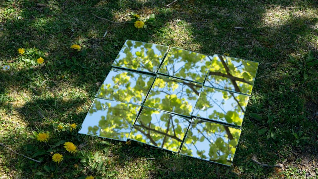 Une photo d'un arbre dans l'herbe