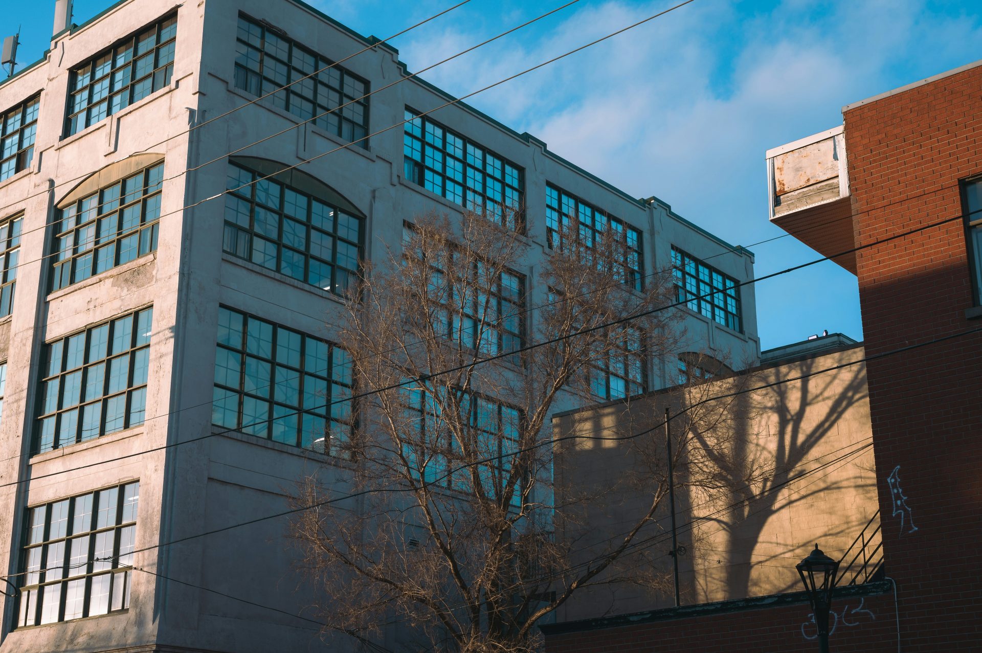 Bâtiments, arbre et ombre sous un ciel bleu.